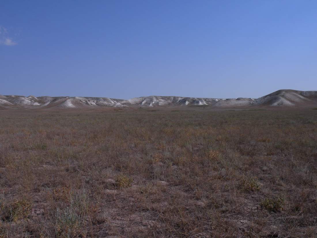 Меловая гряда Акшатау, image of landscape/habitat.