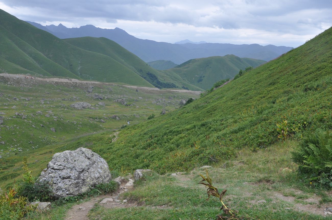 Долина реки Вулелаури, image of landscape/habitat.