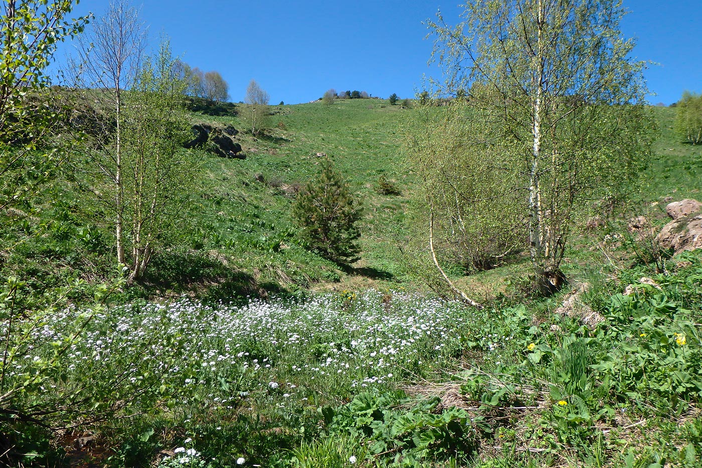 Хребет Малый Бамбак, image of landscape/habitat.