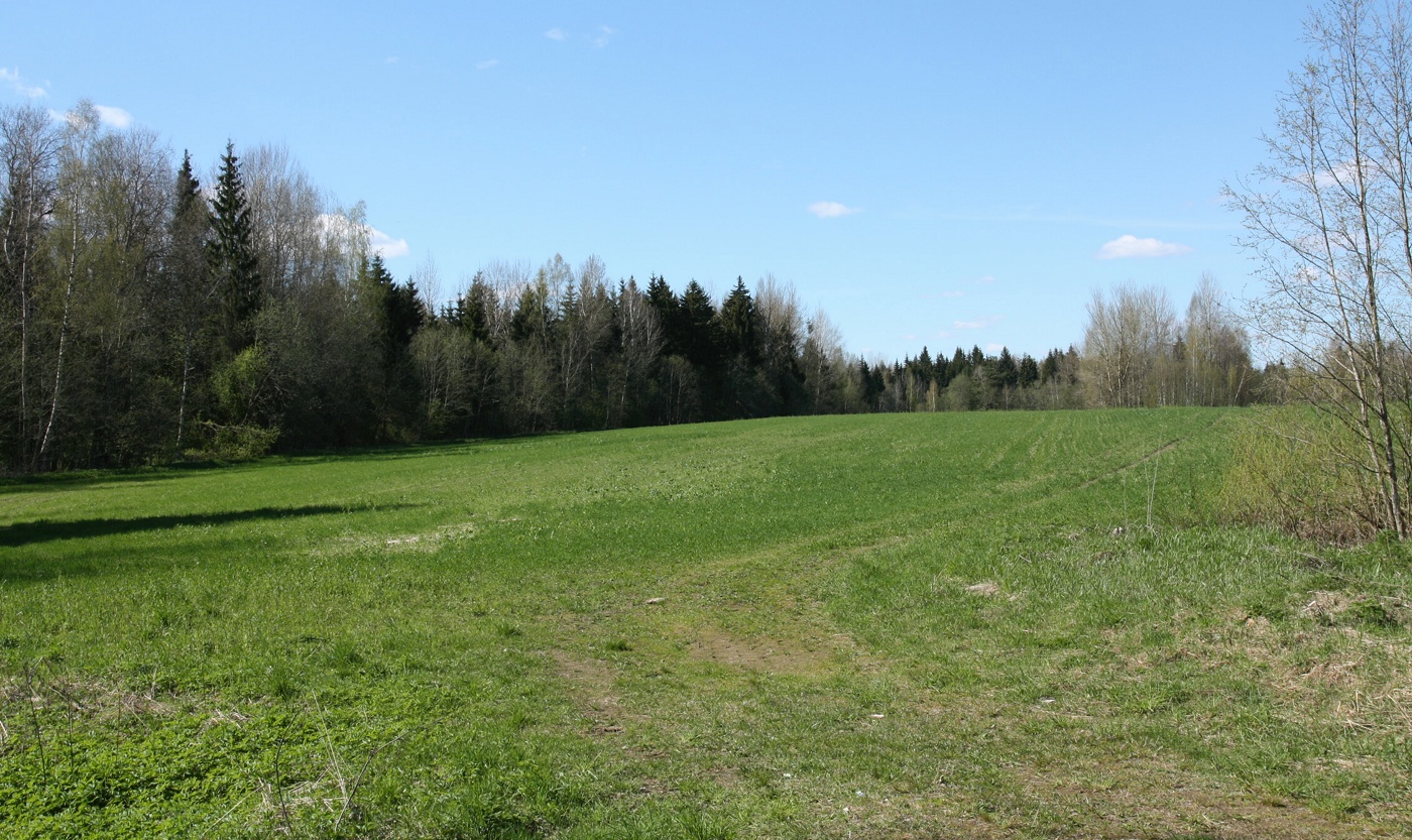 Сурмино, image of landscape/habitat.