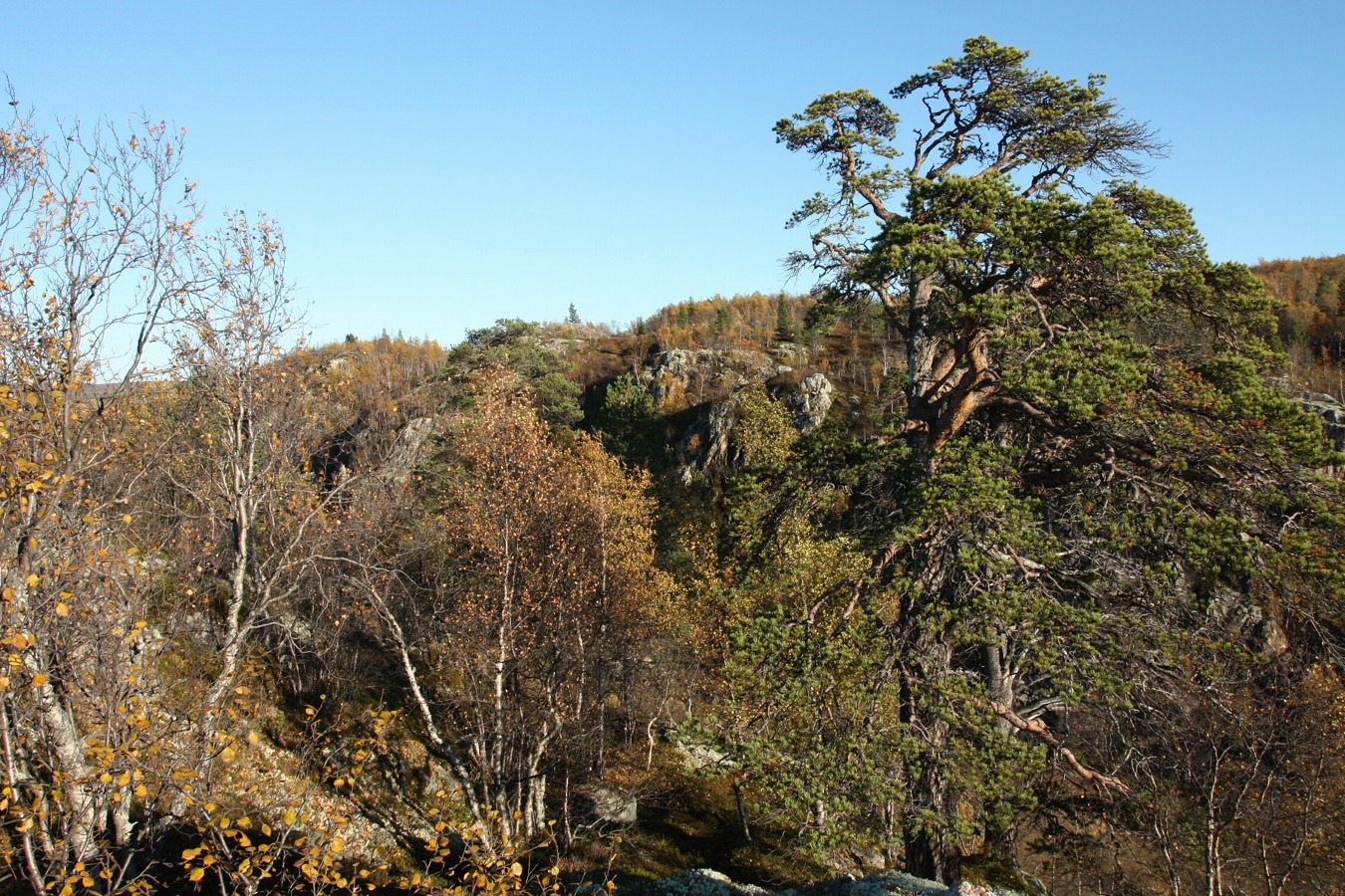 Могильный Ров, image of landscape/habitat.