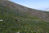 Image of landscape