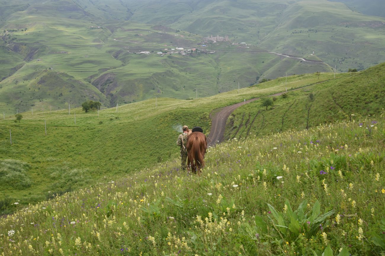 Хакмадой, image of landscape/habitat.