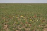 Озеро Булухта, image of landscape/habitat.
