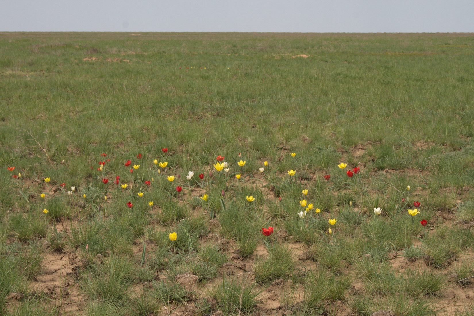 Озеро Булухта, image of landscape/habitat.