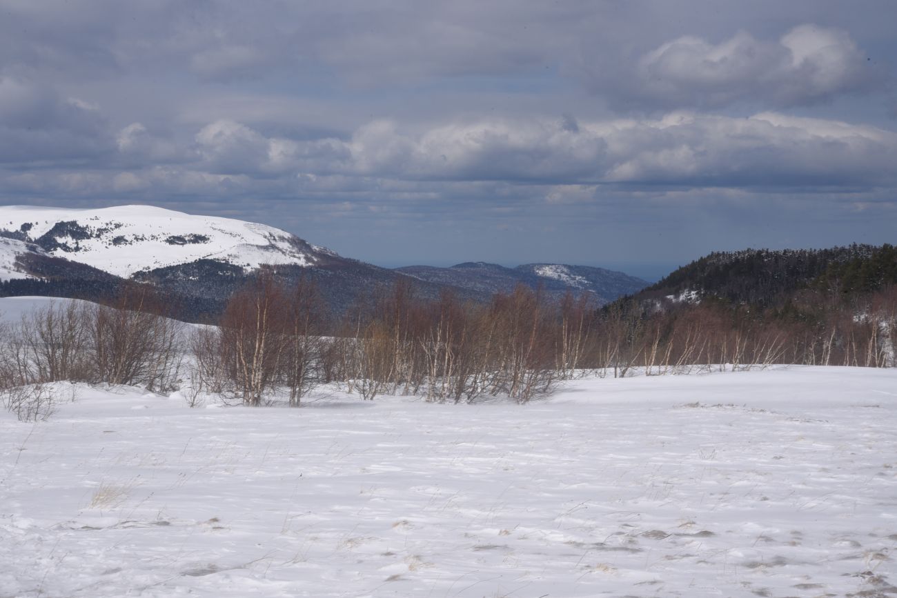 Окрестности ретранслятора, image of landscape/habitat.