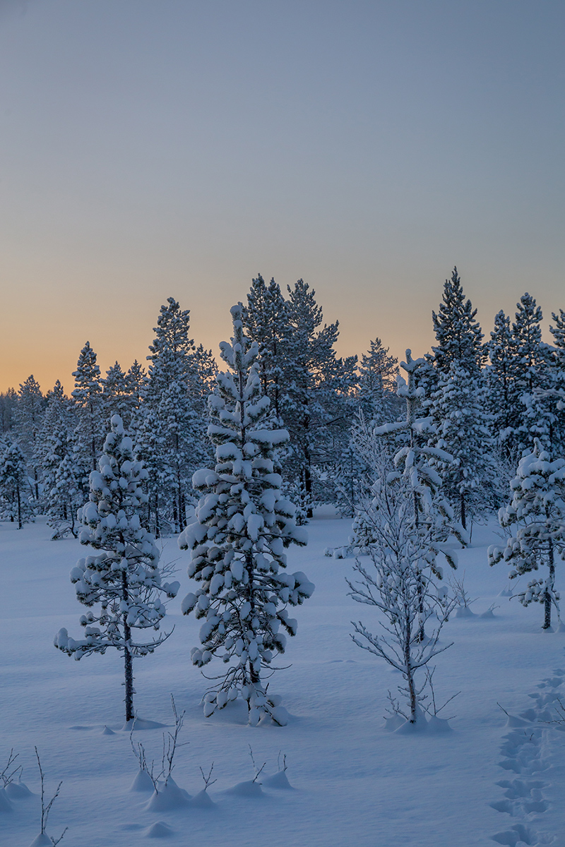 Мурманск, image of landscape/habitat.