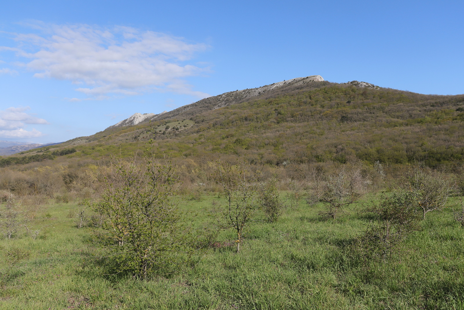 Байдарская долина, image of landscape/habitat.