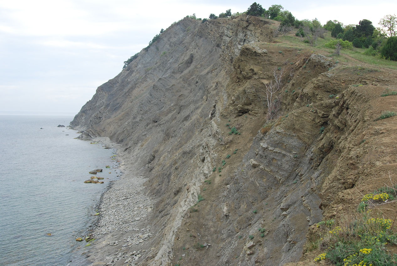 Кутлакская бухта, image of landscape/habitat.