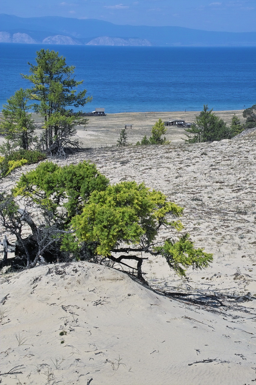 Песчаное, image of landscape/habitat.