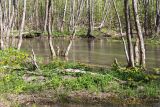 Истоки Шингарки, image of landscape/habitat.