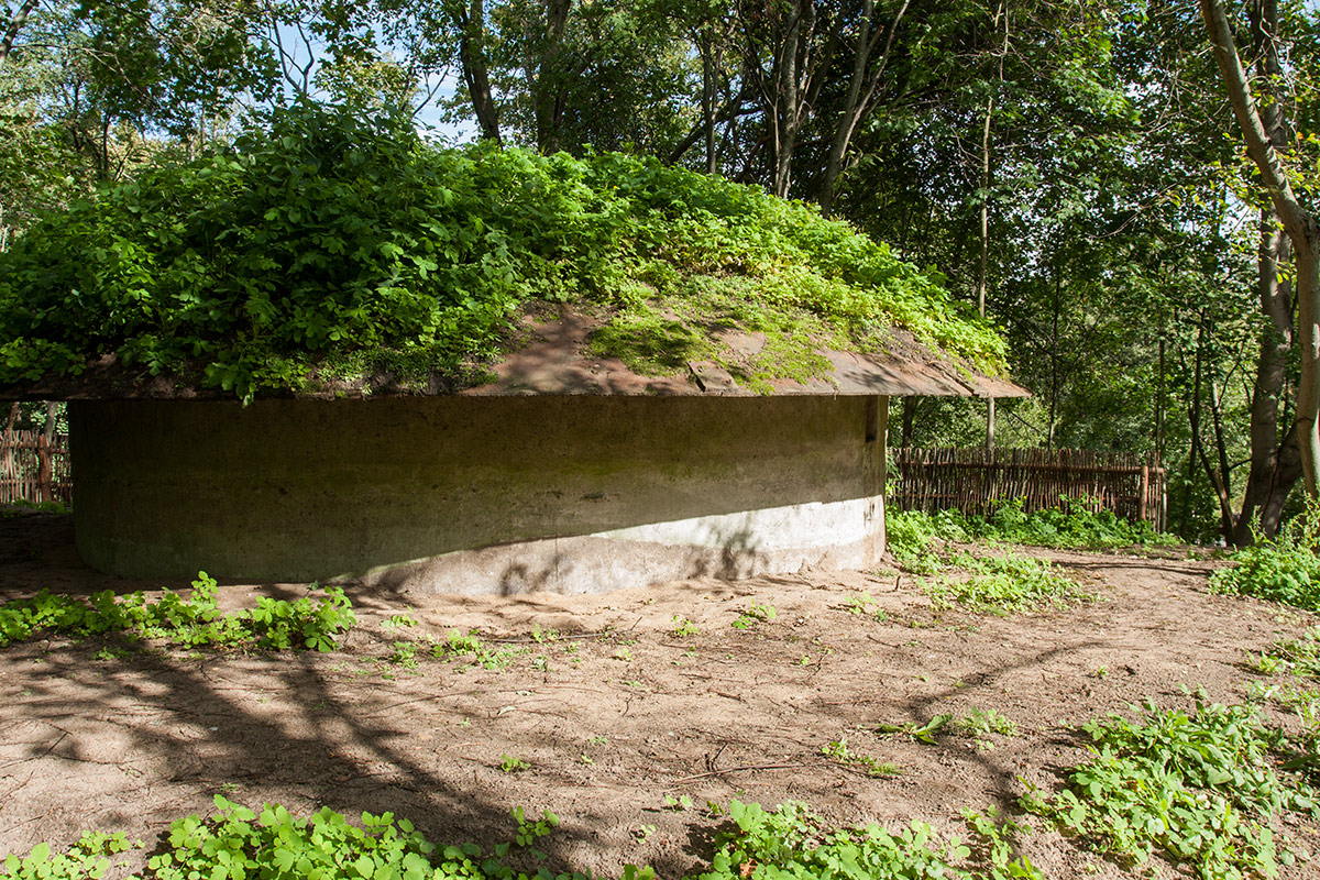 Западный Котлин, image of landscape/habitat.