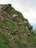 Image of landscape