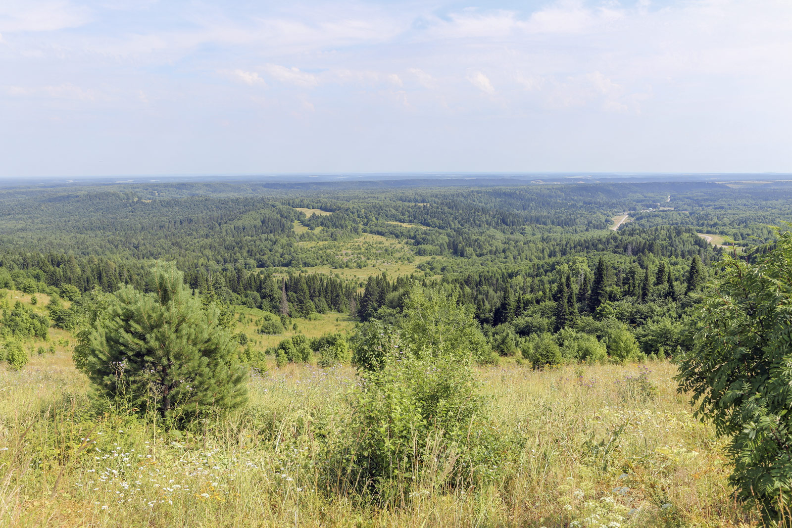 Белая гора, image of landscape/habitat.