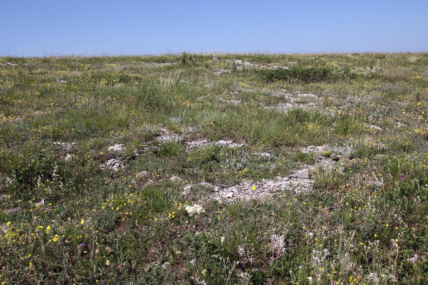 Нижнее плато Чатырдага, image of landscape/habitat.