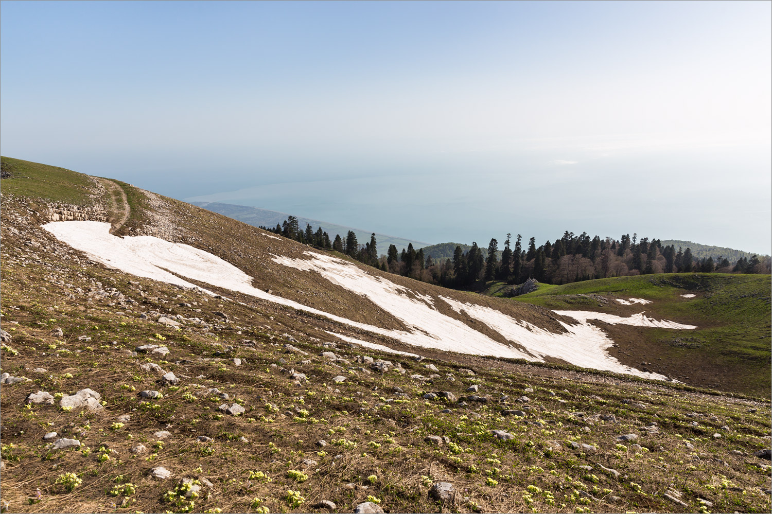 Мамдзышха, image of landscape/habitat.