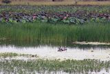 Kakadu, image of landscape/habitat.