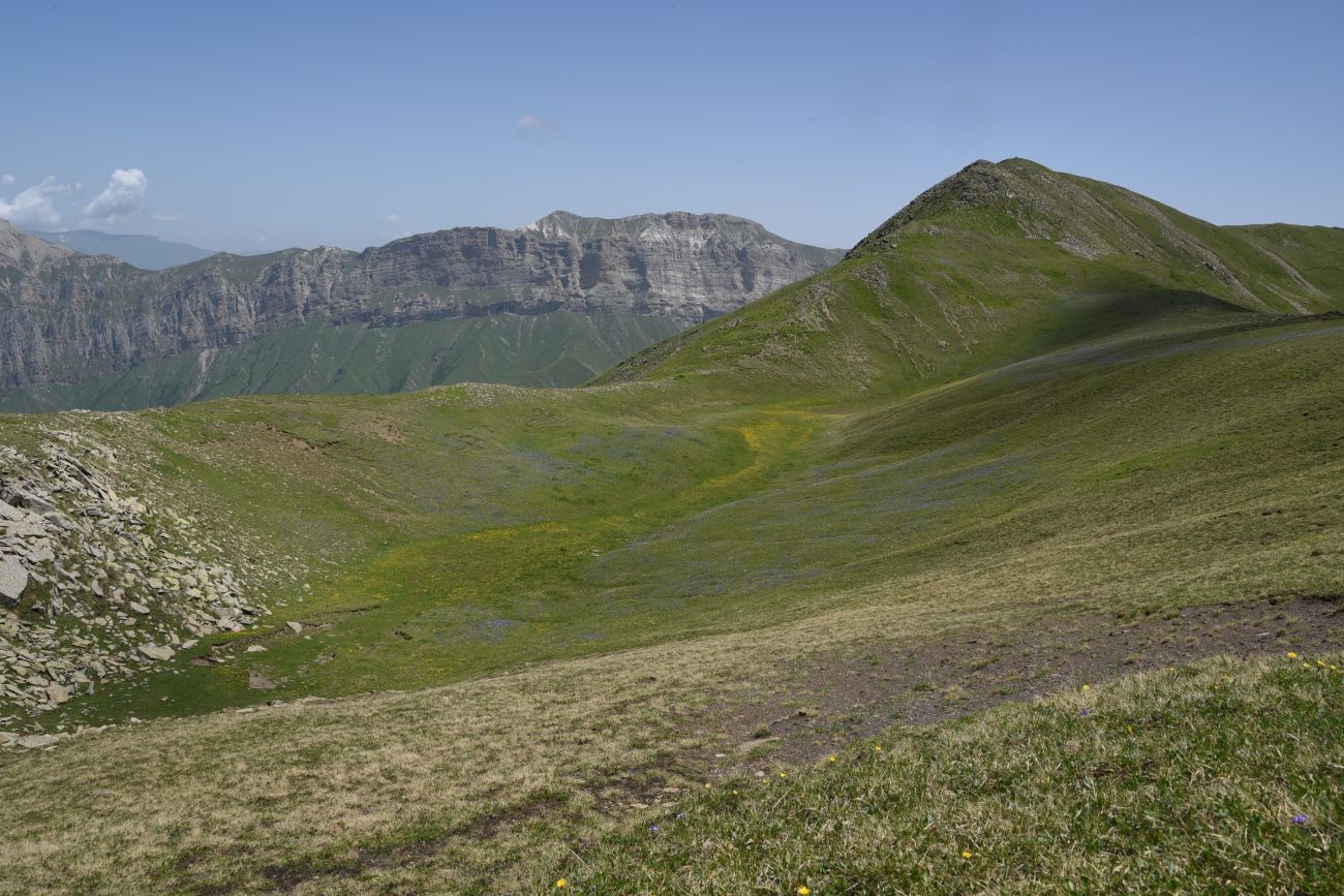 5 км от Цумандинского перевала, image of landscape/habitat.