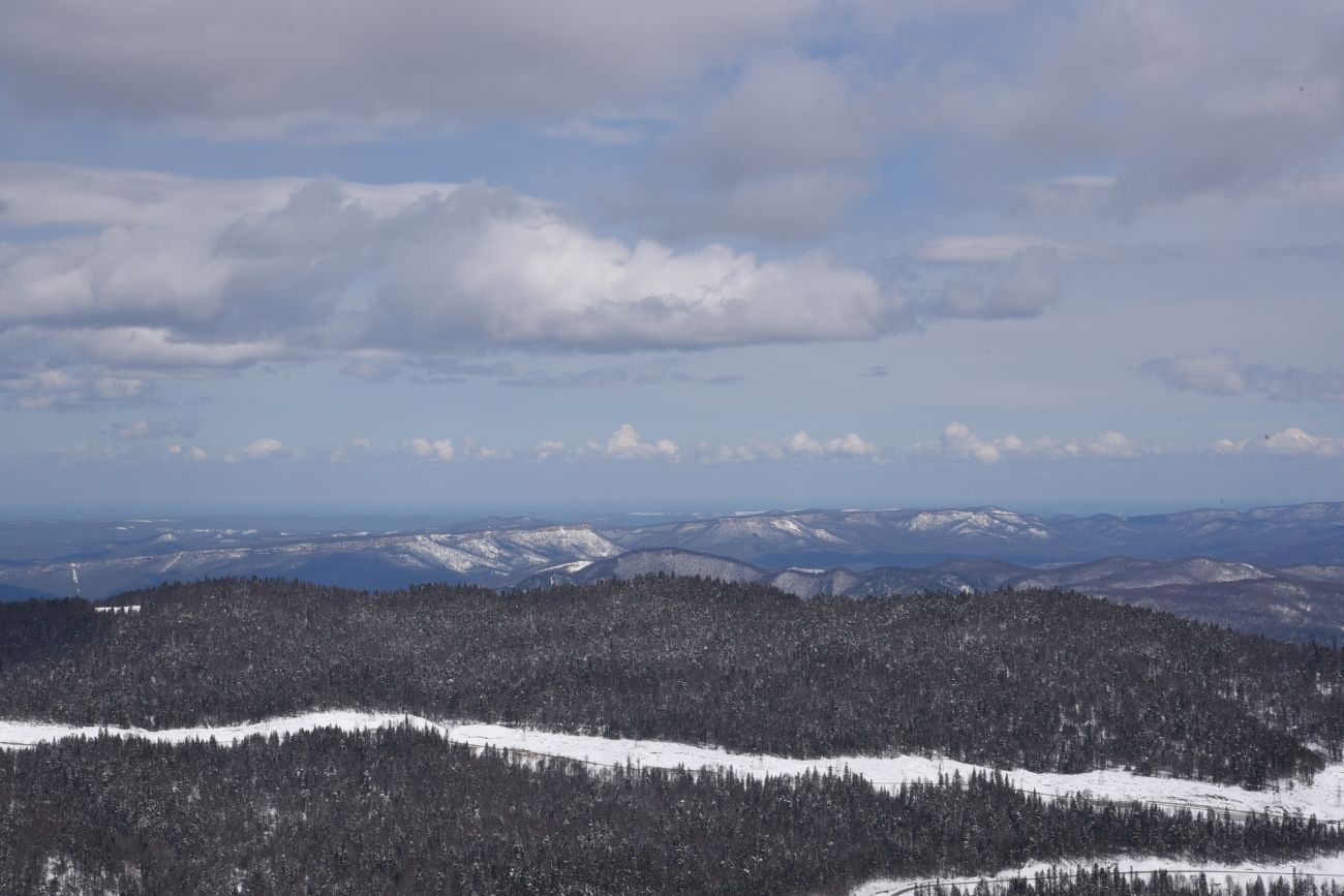 Окрестности ретранслятора, image of landscape/habitat.