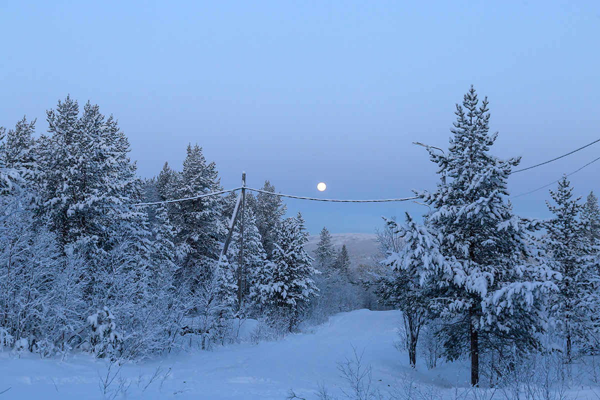 Мурманск, image of landscape/habitat.