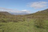 Image of landscape
