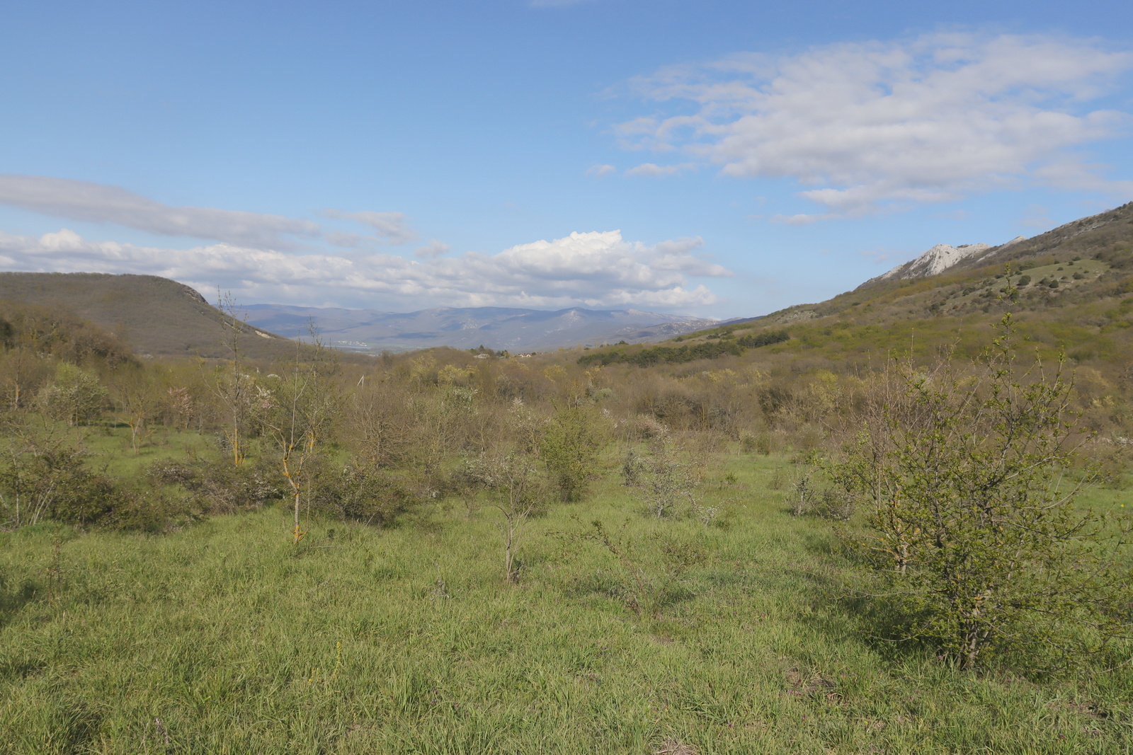 Байдарская долина, image of landscape/habitat.