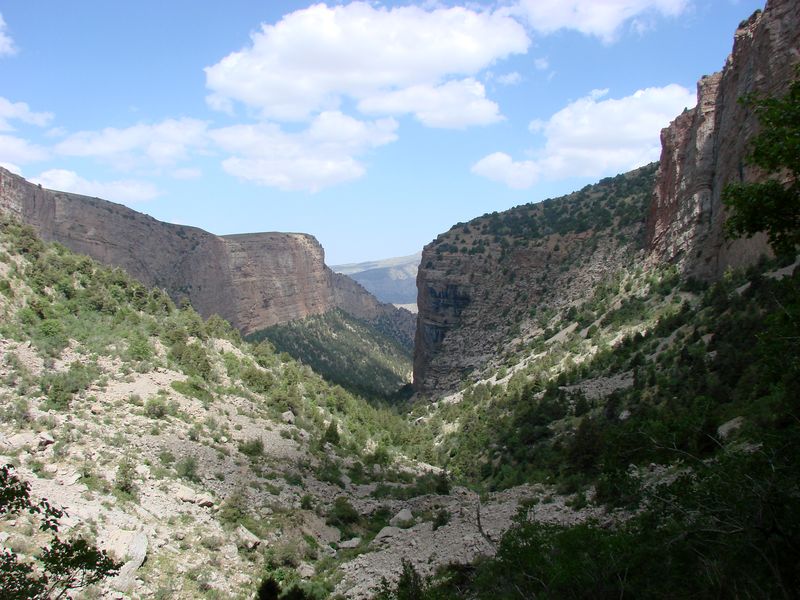 Ущелье Каласай, image of landscape/habitat.