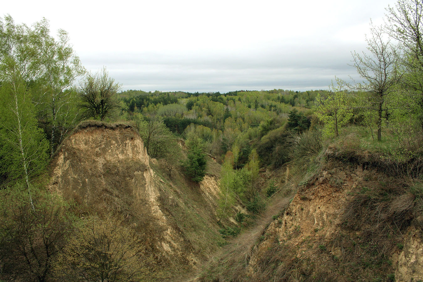 Трахтемиров, изображение ландшафта.