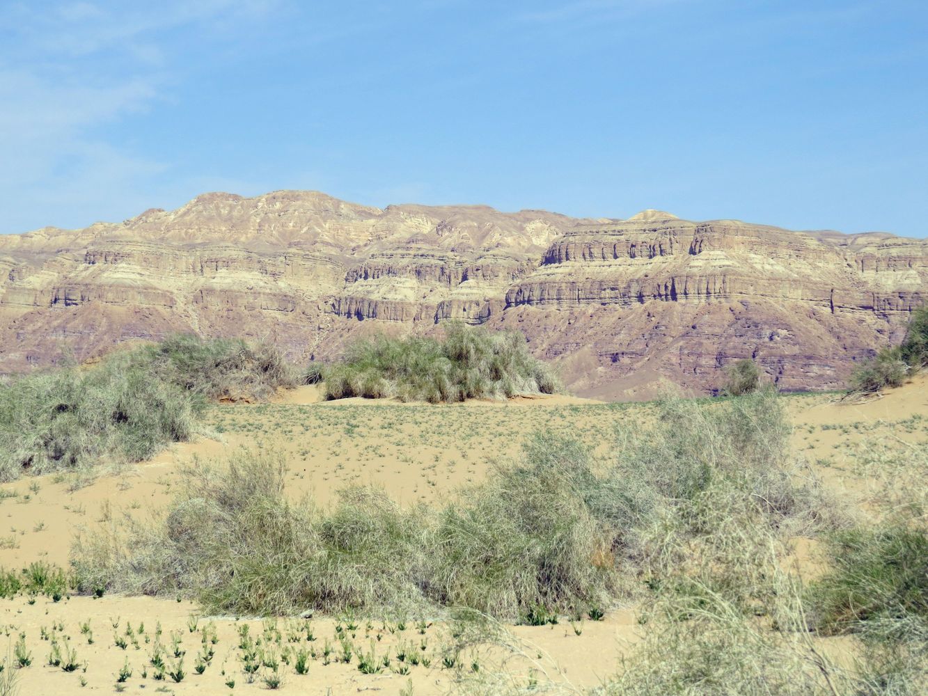 Эмек Арава, image of landscape/habitat.