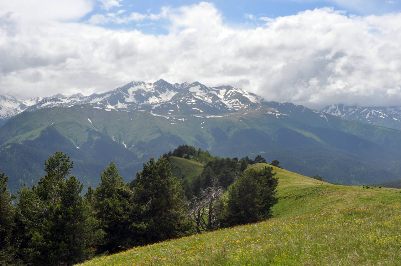 Хребет Абишира-Ахуба, image of landscape/habitat.