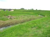Ломиха, image of landscape/habitat.