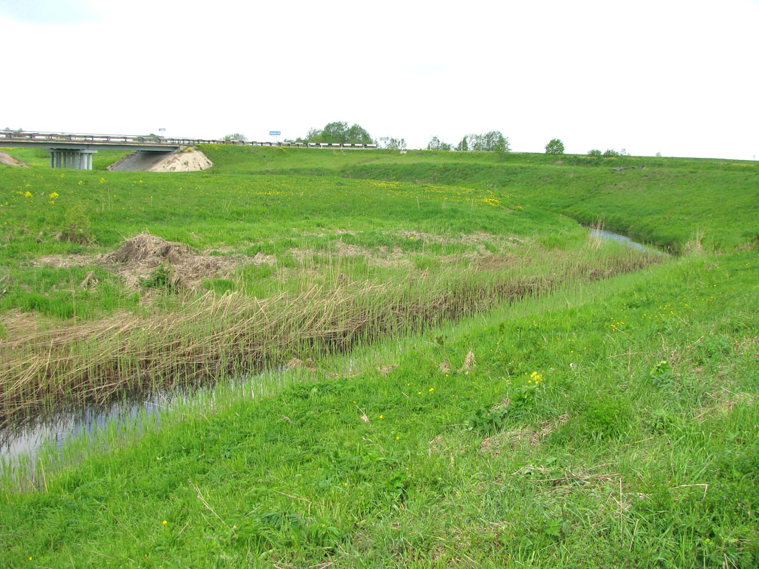 Ломиха, image of landscape/habitat.