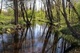 Зелёное, image of landscape/habitat.