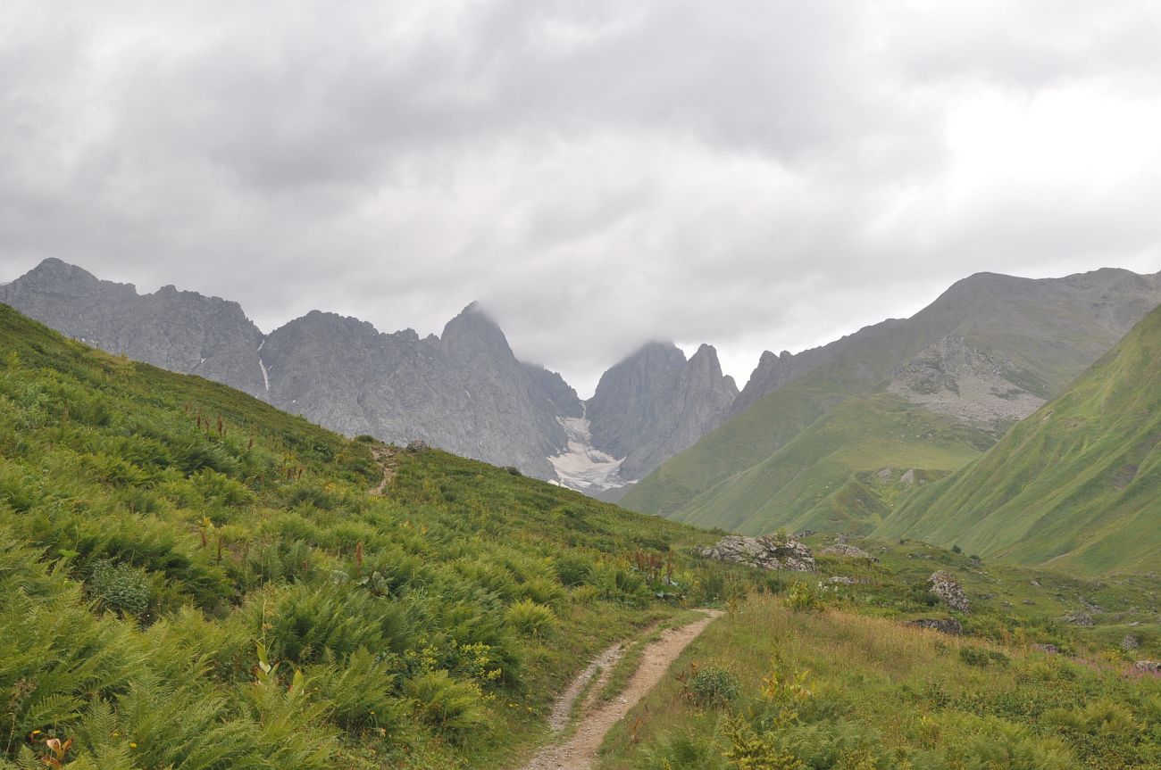 Долина реки Вулелаури, image of landscape/habitat.