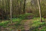 Павловск, image of landscape/habitat.