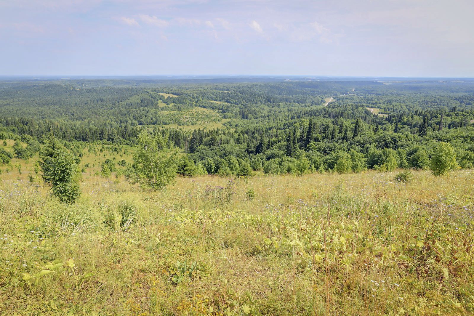 Белая гора, image of landscape/habitat.