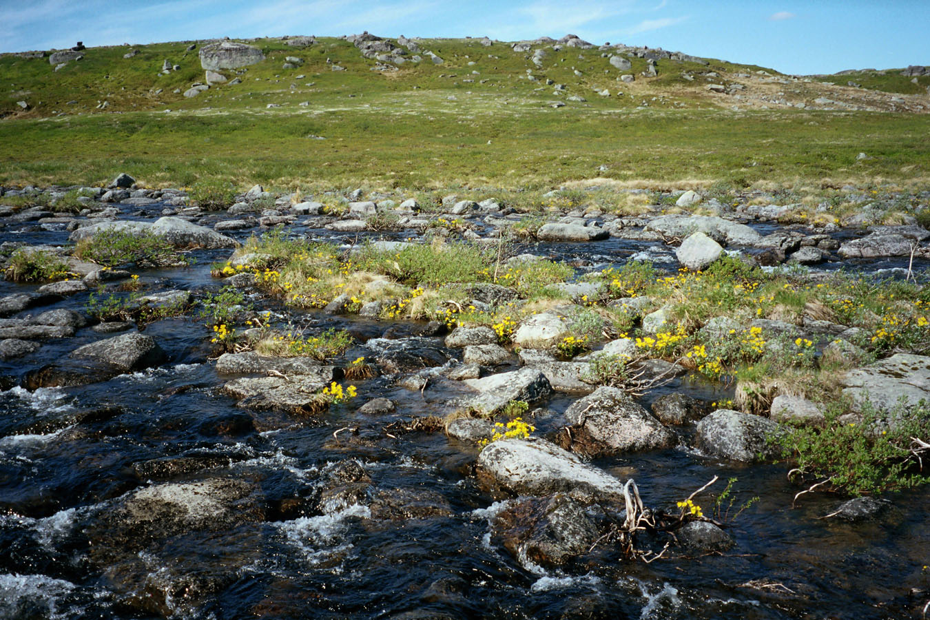 Порчниха, image of landscape/habitat.