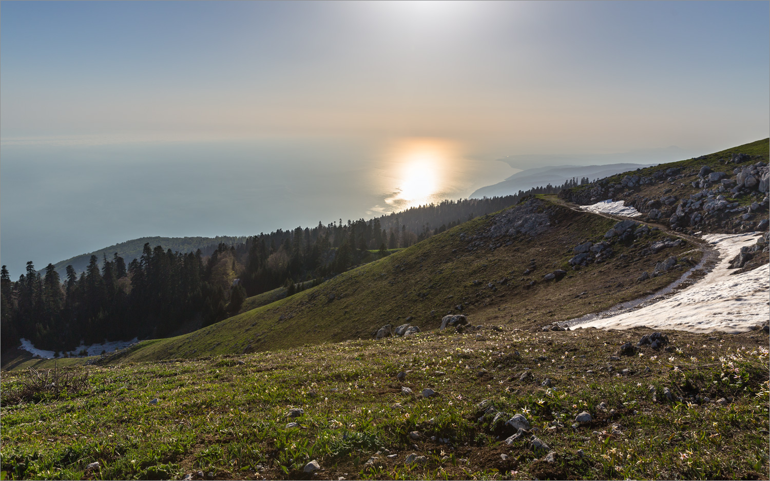 Мамдзышха, image of landscape/habitat.