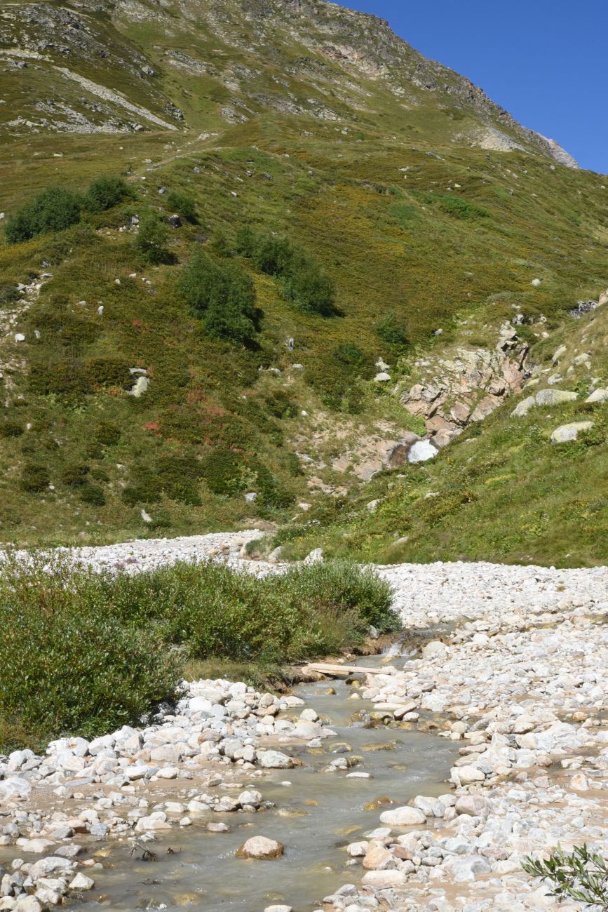 Окрестности озера Донгуз-Орун, image of landscape/habitat.