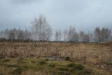 Товарковский, image of landscape/habitat.