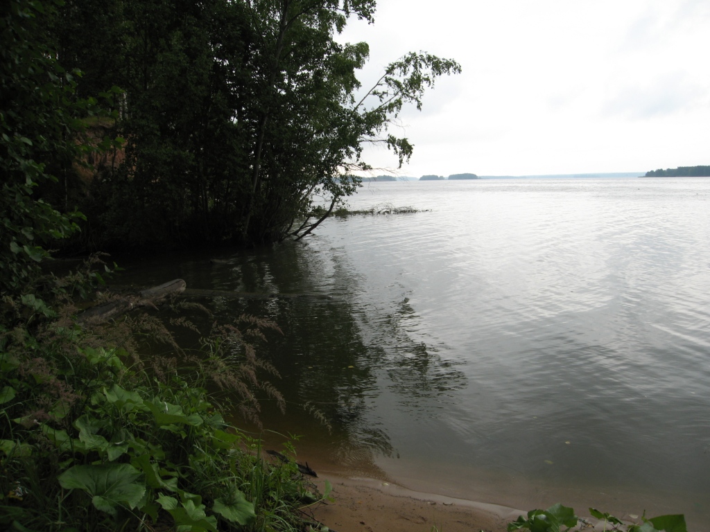 Устье реки Нёмда, image of landscape/habitat.