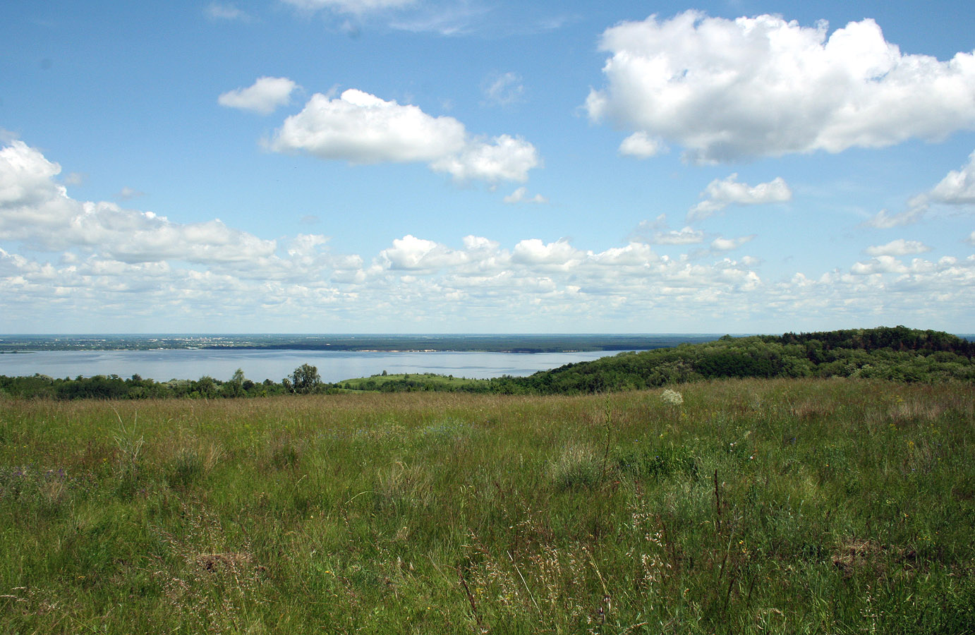 Трахтемиров, image of landscape/habitat.