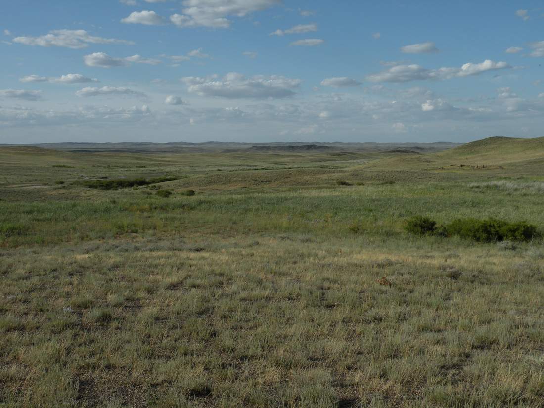 Горы Шубартау, image of landscape/habitat.