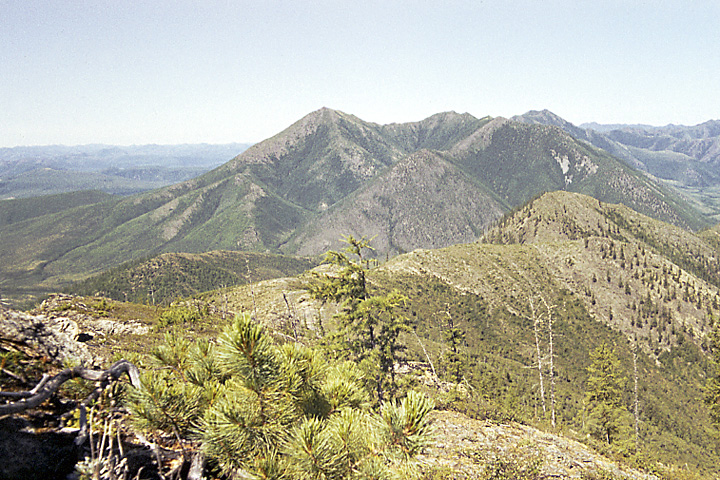 Устье Ольчана, image of landscape/habitat.