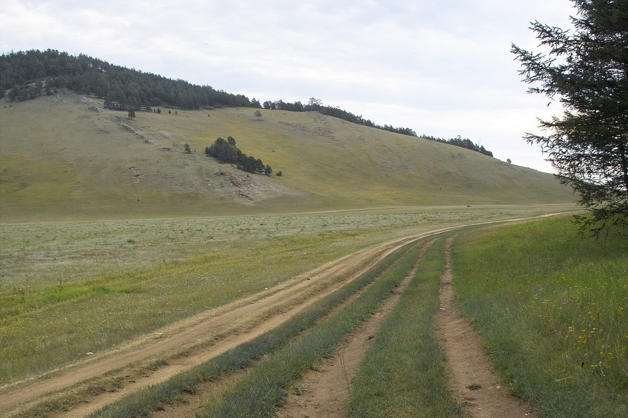 Узуры, image of landscape/habitat.