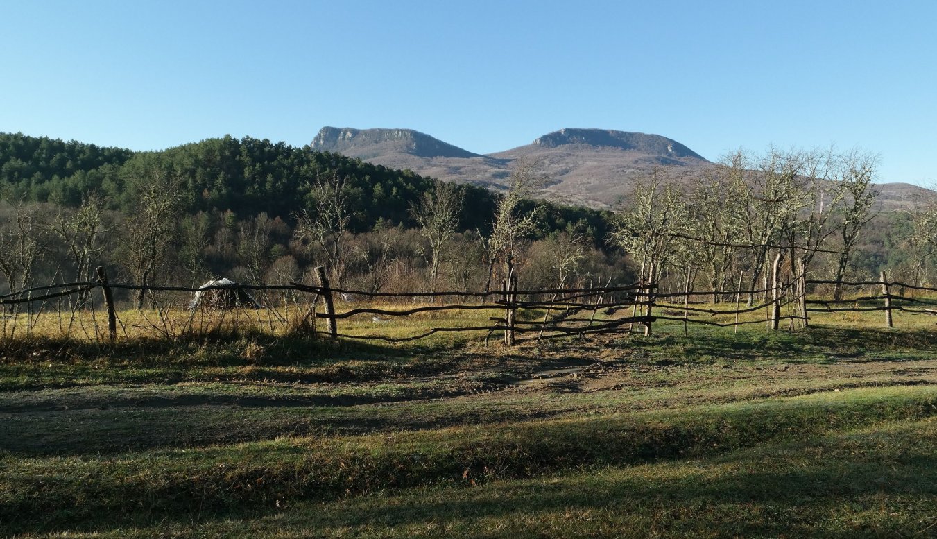 Счастливое, image of landscape/habitat.