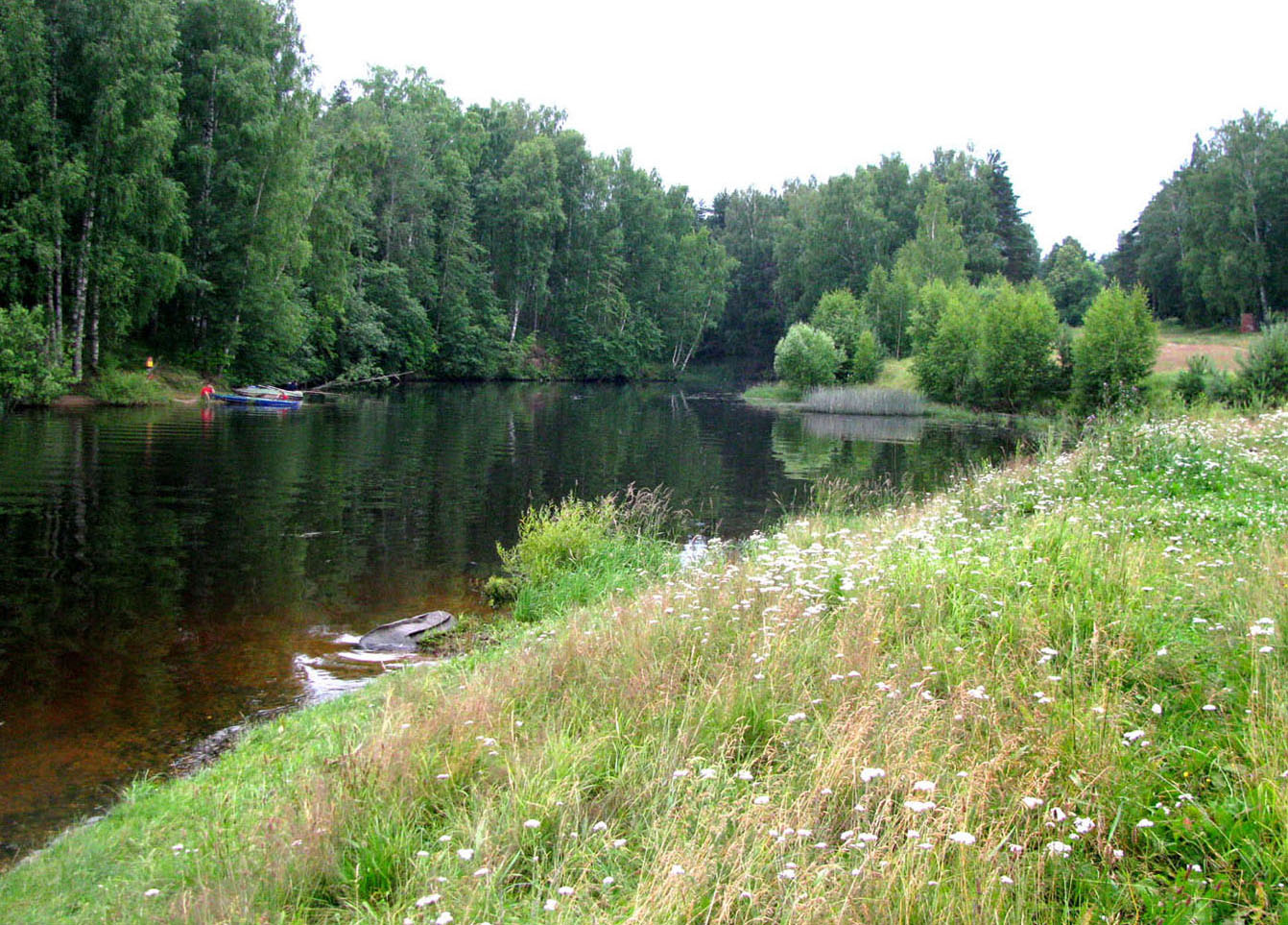 Рыбинское водохранилище, image of landscape/habitat.
