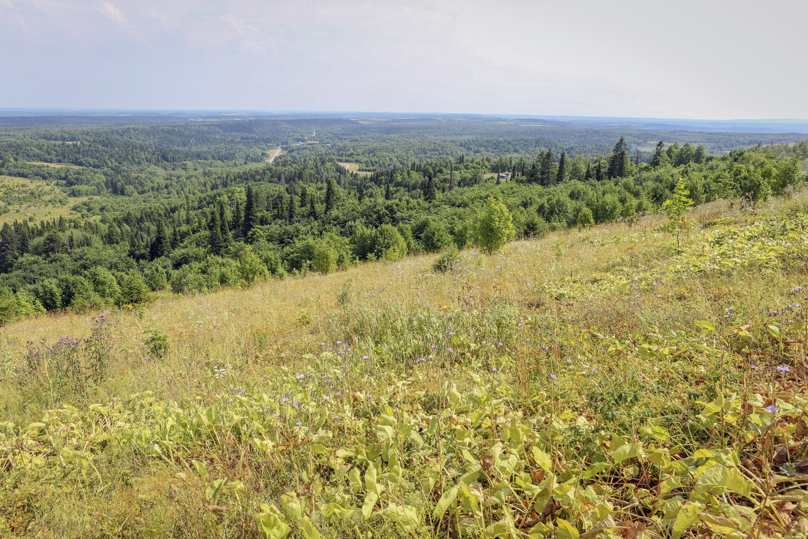 Белая гора, image of landscape/habitat.