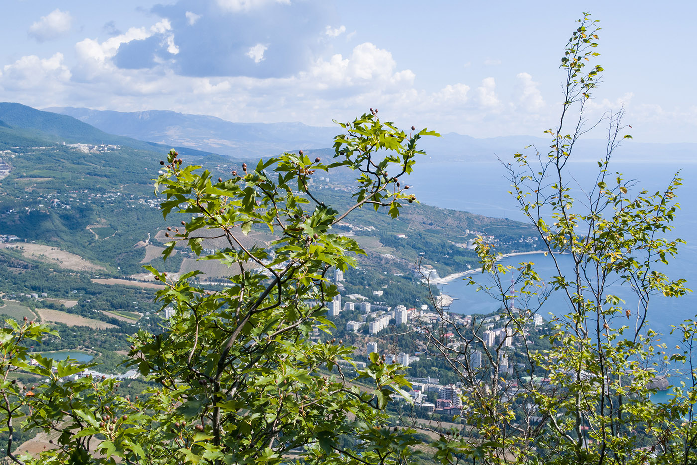 Аюдаг, image of landscape/habitat.