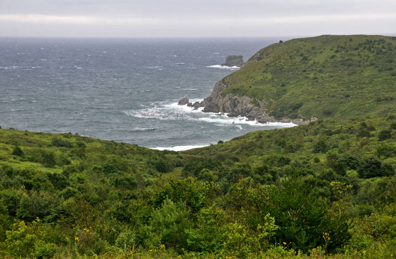 Бухта Тёплая и окрестности, image of landscape/habitat.